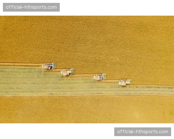 视频超采样技术在本季度实装 提升了既有低质信号的视觉呈现品质 视频超采样技术在本季度实装 提升了既有低质信号的视觉呈现品质